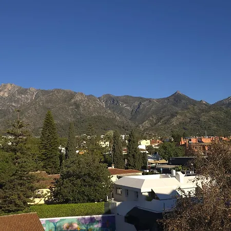 Center Walking Distance And Plaza De Naranjos Apartment