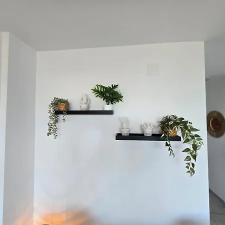 Center Walking Distance Beach&plaza De Naranjos