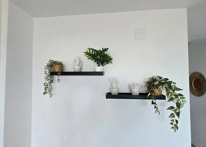 Center Walking Distance And Plaza De Naranjos